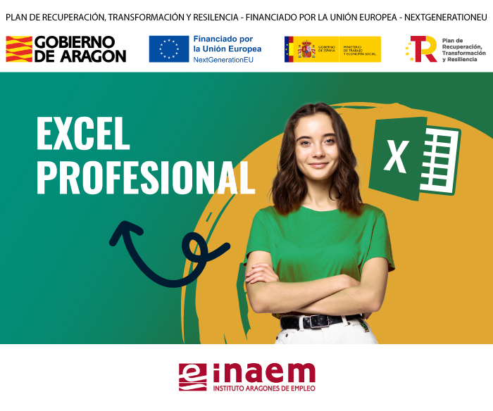 Excel profesional